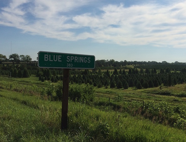 Blue Springs sign